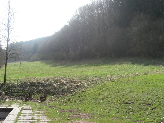 CIMG3788